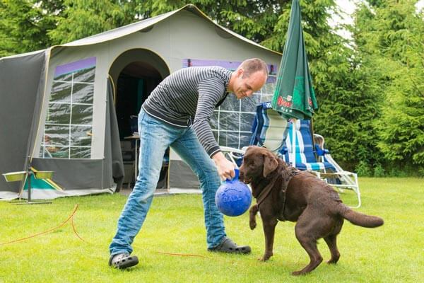 Uw huisdier / hond is welkom op de camping